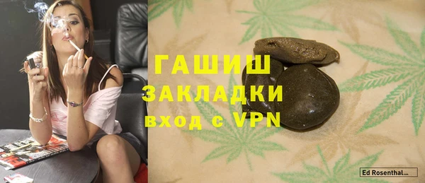 гашик Алексин