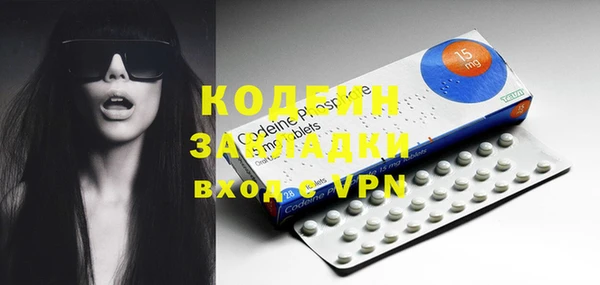 гашик Алексин