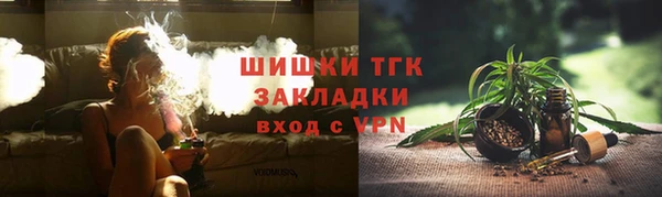 гашик Алексин