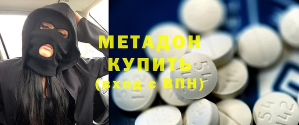 гашик Алексин