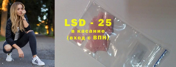 гашик Алексин