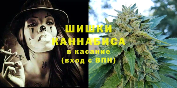 гашик Алексин