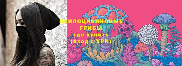 гашик Алексин