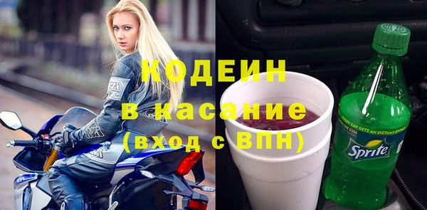 индика Алзамай