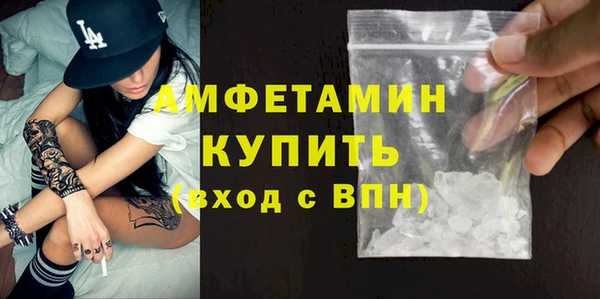 гашик Алексин