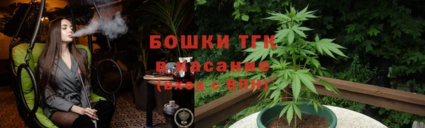 гашик Алексин