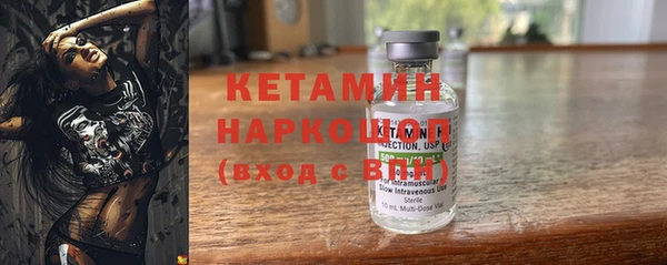 гашик Алексин